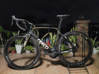 Ceepo stinger size M