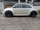 Beetle