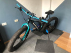 FAT BIKE charles spanker