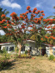 Private Beach Front House