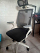 FS-Used but not abused! Ergonomic Chair
