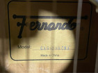 Fernando CAG-200CNA Guitar