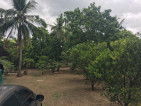 Vacation Farm Lot in Quezon Province