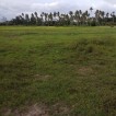 Farm Lot - San Antonio, Quezon