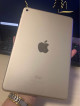 IPad Mini 4 Gold