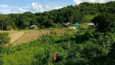 Organic Farm For Sale