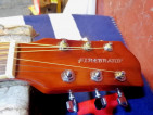 FIREBRAND ACOUSTIC GUITAR