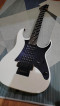 FORSALE ONLY: IBANEZ GRG-250 WH