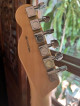 Fender American Pro Telecaster Shawbucker Natural