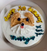 Cake for Pets / Cake for Dogs and Cats