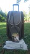 IBIYAYA Dog Stroller