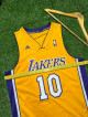 Adidas Steve Nash #10 Los Angeles Lakers Jersey🔥