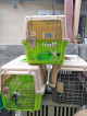 PET TRAVEL CRATE