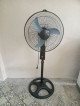 Stand Fan (Dowell)
