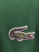 Lacoste green hoodie