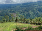 PERFECT VIEW MADAGUING CLAVERIA WITH FARMHOUSE SOONEST TOURIST SPOT