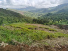 Farm lot for sale 1,000 sqm per cut for only 350k