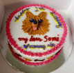 Cake for Pets / Cake for Dogs and Cats