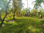 Lot - Macalelon, Quezon Province