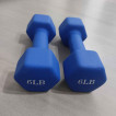 6lbs x 2 (PAIR) Dumbbell Set - Matte Finished (pre-loved)