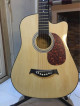 Kessler Guitar Jr Size 38 with case