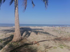 Forsale 10,000sqm beachlot negotiable pa, Digos-city