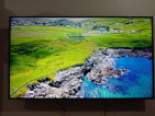 LG Smart 55 Inches THINQ AI