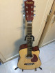 Kessler Guitar Jr Size 38 with case