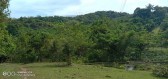 Lot for sale in guimaras