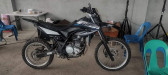 WR 155r 2021