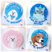 Cake For Pets (Cake for dogs and cats) safe for them to eat.