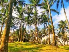 Lot - Lucban, Quezon