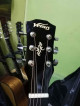 Venus Brand Acoustic Guitar