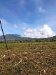 Farmlot for sale at Aposkahoy Claveria