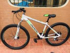 ZIYOUXING 29ER GLOSSY FINISH