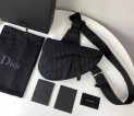 Dior Canvas saddle bag