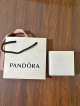 Pandora Bracelet with Charm