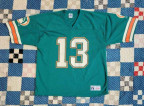 Dolphins jacket and jersey