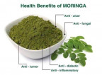 Pure Moringa Powder for Pets 100g