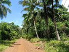 Beach Front and Farm Lot