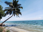 Beach Front and Farm Lot