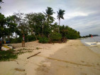 Beach Property