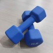 6lbs x 2 (PAIR) Dumbbell Set - Matte Finished (pre-loved)