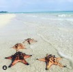 PAGBILAO BEACH QUEZON w/ BILIRAN SAND BAR