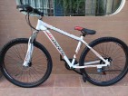 ZIYOUXING 29ER GLOSSY FINISH