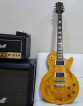 Epiphone Les Paul Standard (Derrig-Inspired)!