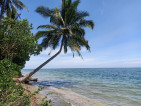 Beach Front and Farm Lot