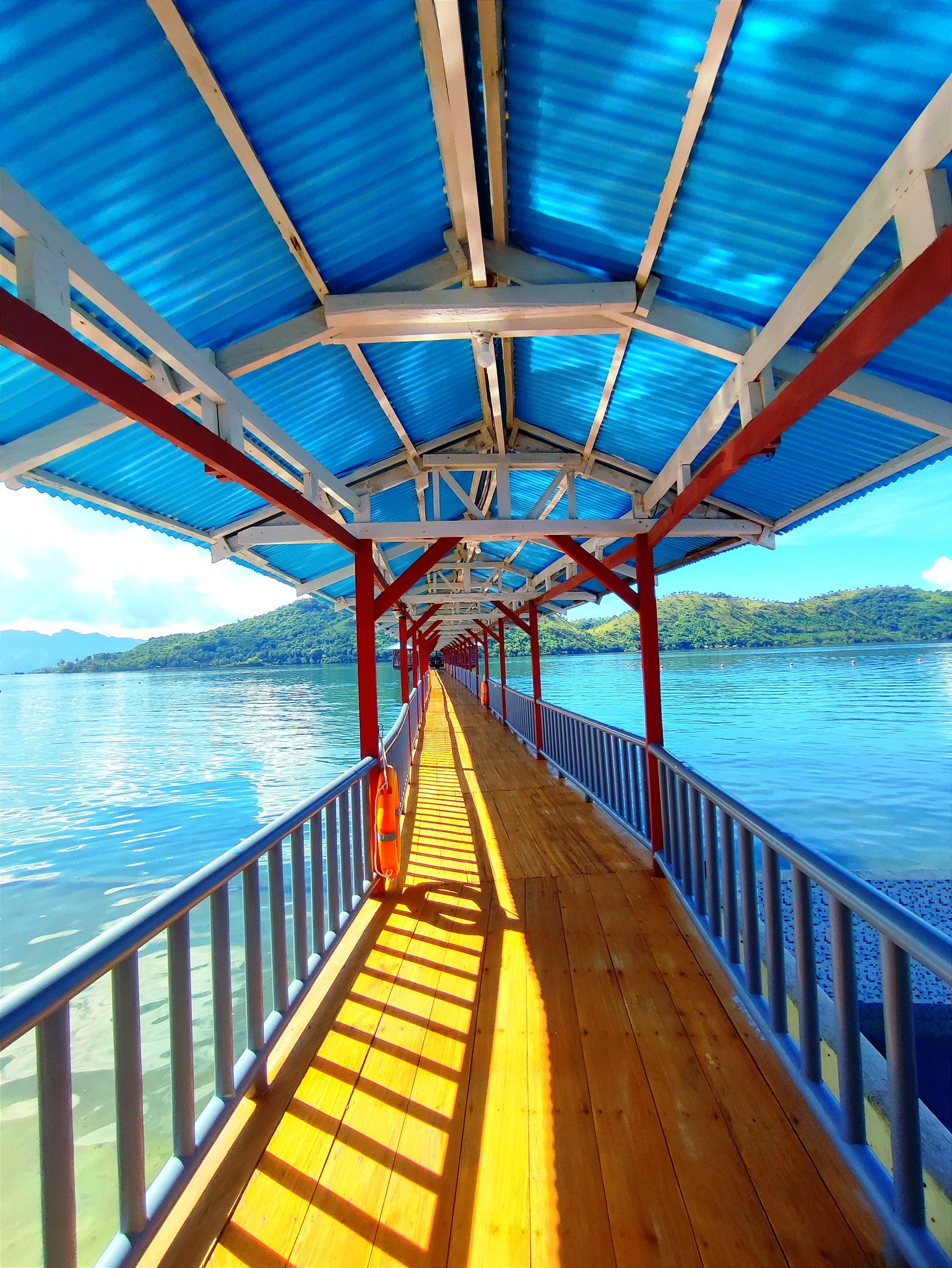 Coron Underwater Garden Resort Palawan