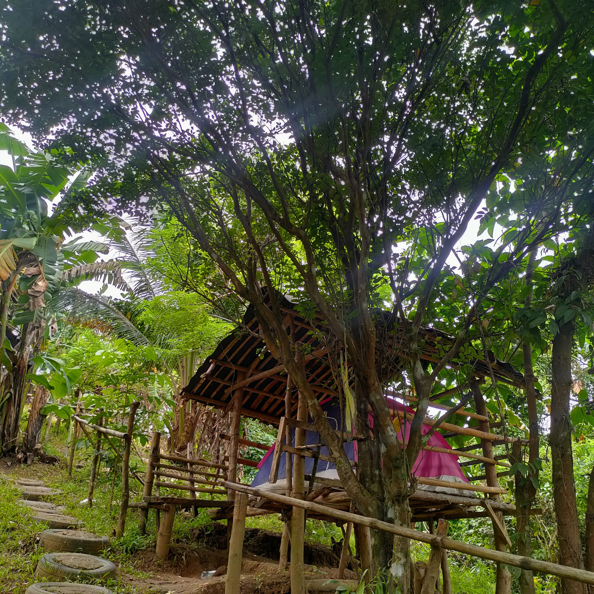 Antipolo's Nature Tent & Kubo Camp