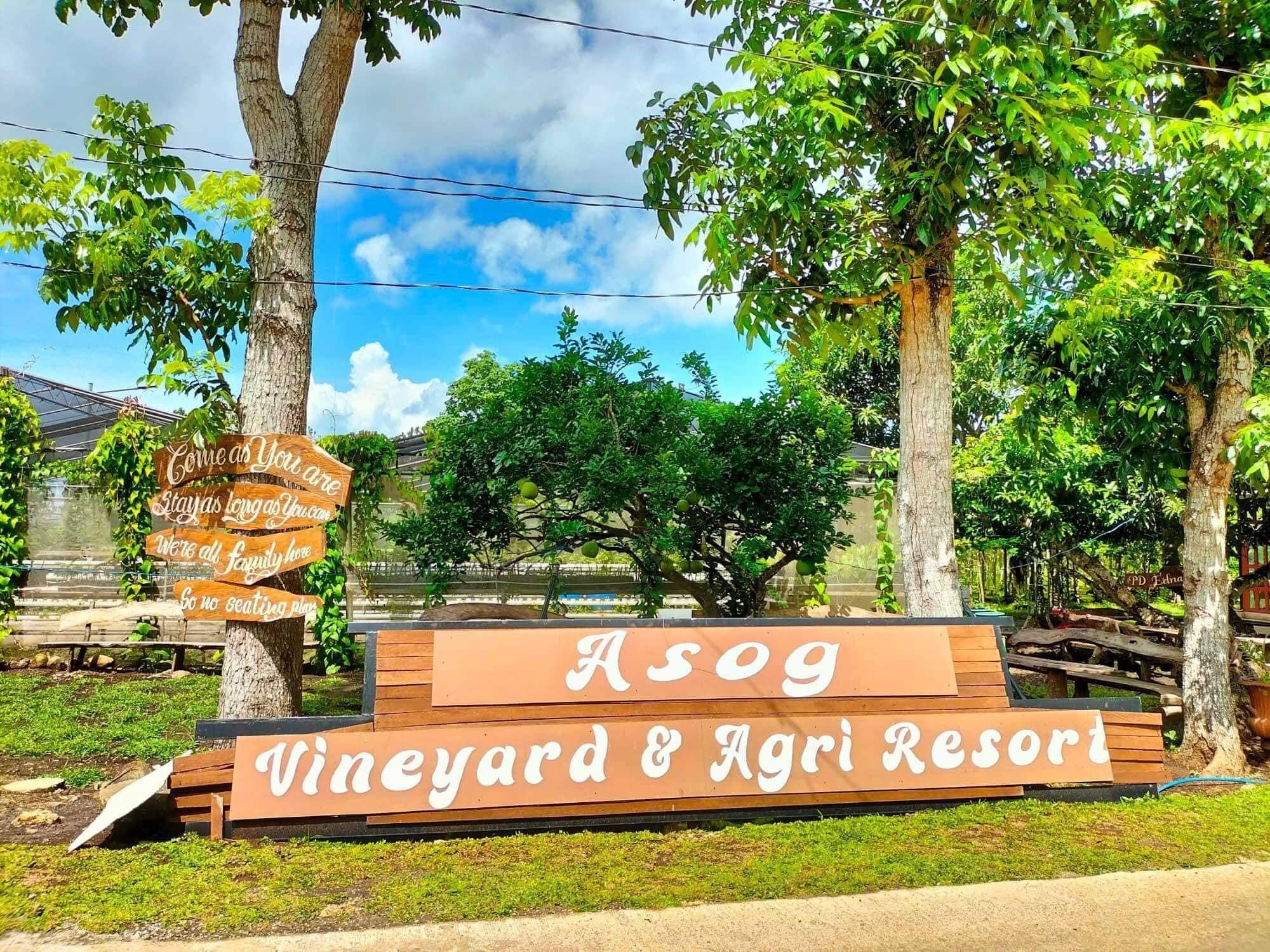 Asog Vineyard & Agri Resort